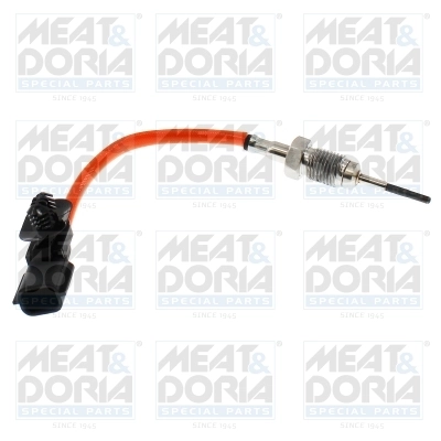 Sensor, exhaust gas temperature